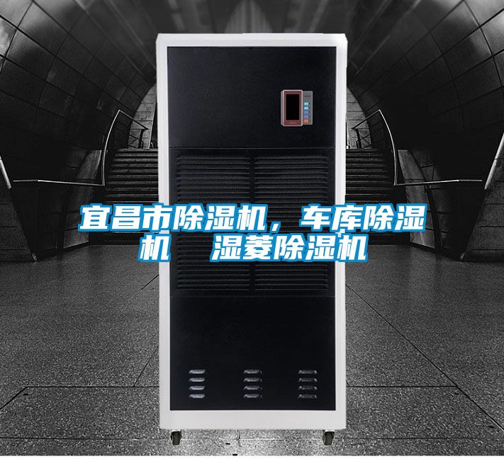 宜昌市除濕機(jī)，車庫(kù)除濕機(jī)  濕菱除濕機(jī)