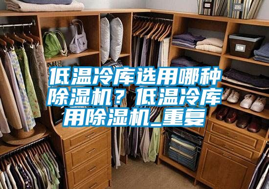低溫冷庫選用哪種除濕機？低溫冷庫用除濕機_重復
