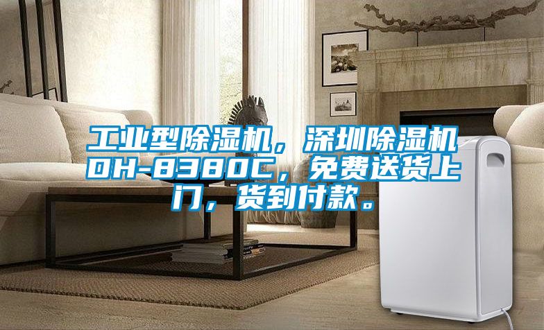 工業(yè)型除濕機(jī)，深圳除濕機(jī)DH-8380C，免費(fèi)送貨上門，貨到付款。