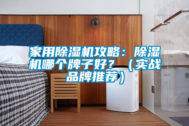 家用除濕機(jī)攻略：除濕機(jī)哪個牌子好？（實戰(zhàn)品牌推薦）