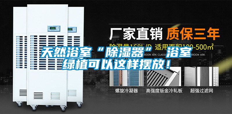 天然浴室“除濕器” 浴室綠植可以這樣擺放！