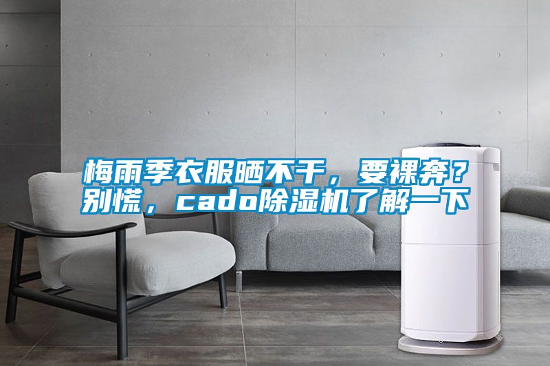 梅雨季衣服曬不干，要裸奔？別慌，cado除濕機(jī)了解一下