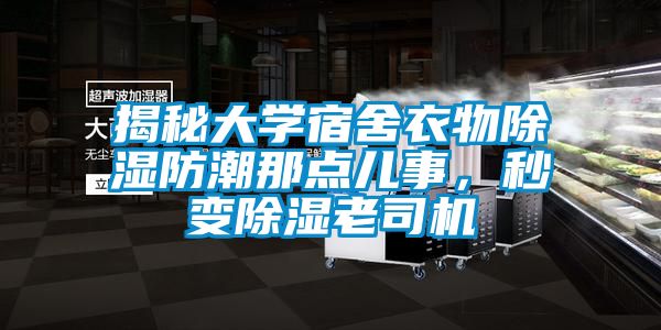 揭秘大學(xué)宿舍衣物除濕防潮那點兒事，秒變除濕老司機