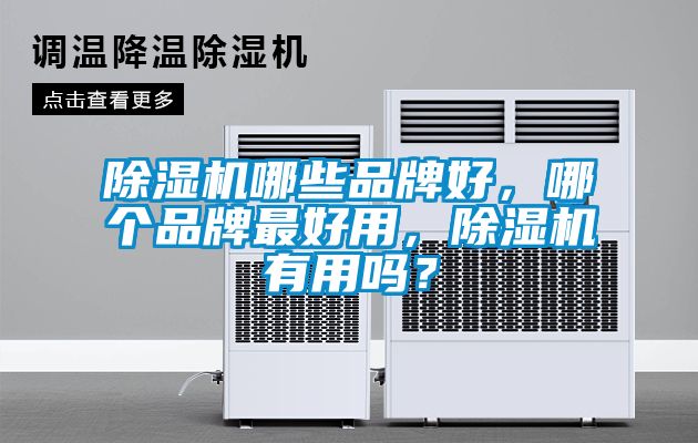 除濕機哪些品牌好，哪個品牌最好用，除濕機有用嗎？