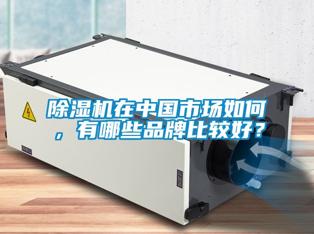 除濕機在中國市場如何，有哪些品牌比較好？