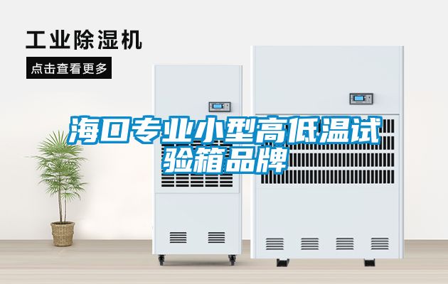 海口專業(yè)小型高低溫試驗(yàn)箱品牌