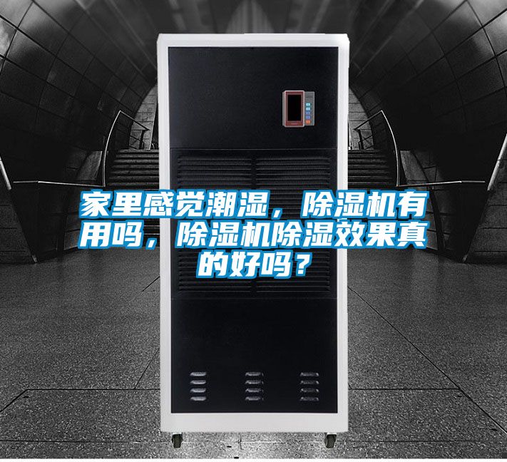 家里感覺潮濕，除濕機有用嗎，除濕機除濕效果真的好嗎？