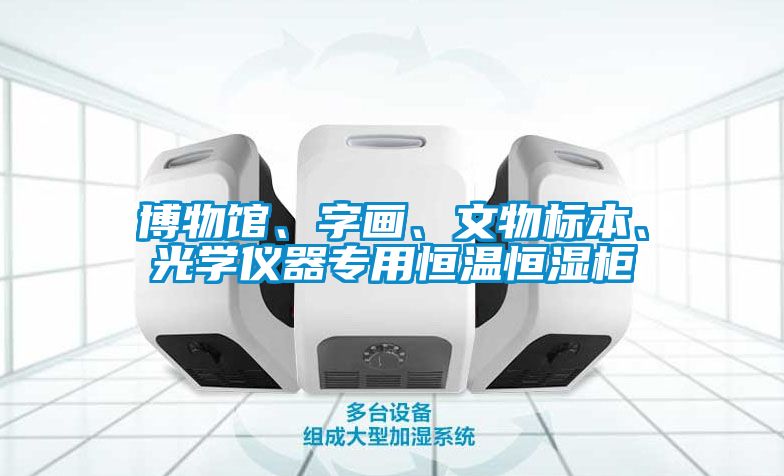 博物館、字畫、文物標(biāo)本、光學(xué)儀器專用恒溫恒濕柜