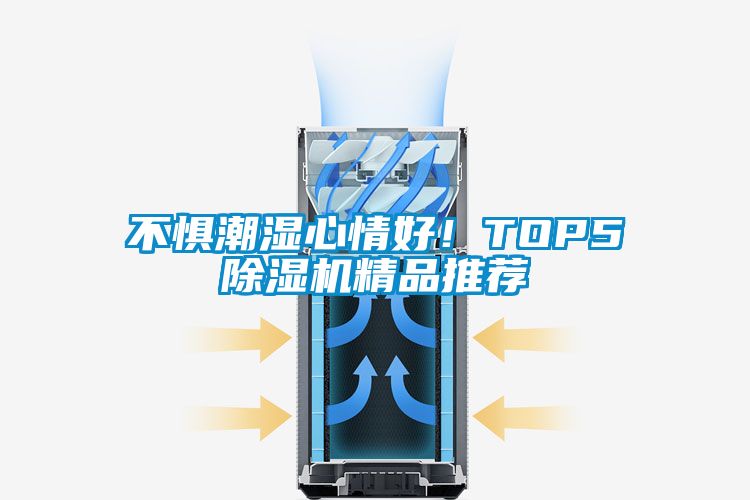 不懼潮濕心情好！TOP5除濕機(jī)精品推薦