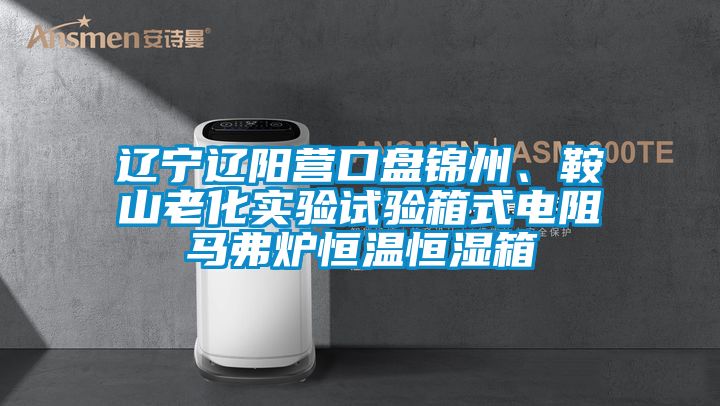 遼寧遼陽營口盤錦州、鞍山老化實驗試驗箱式電阻馬弗爐恒溫恒濕箱