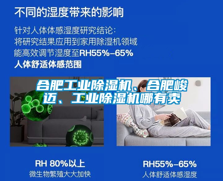 合肥工業(yè)除濕機、合肥峻邁、工業(yè)除濕機哪有賣