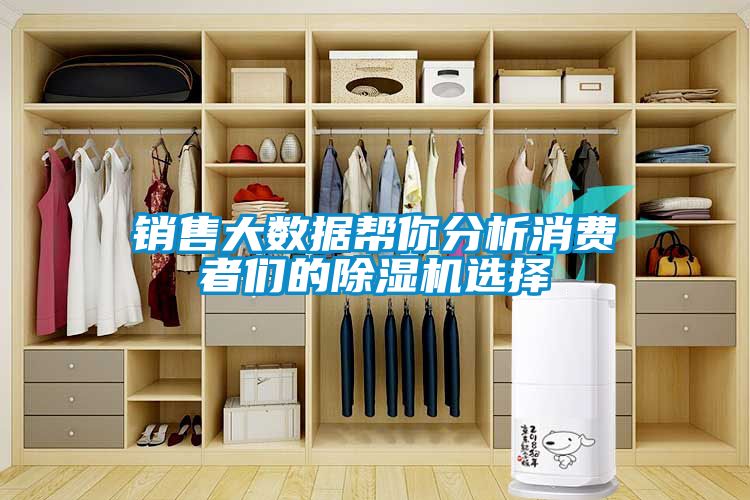 銷(xiāo)售大數(shù)據(jù)幫你分析消費(fèi)者們的除濕機(jī)選擇