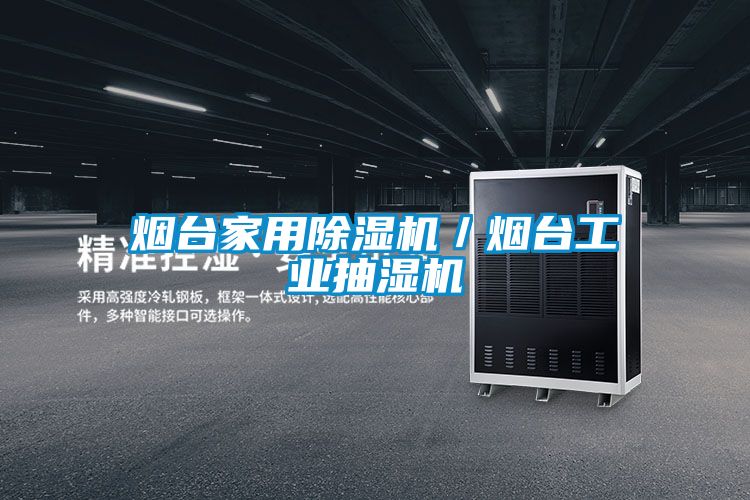 煙臺家用除濕機(jī)／煙臺工業(yè)抽濕機(jī)