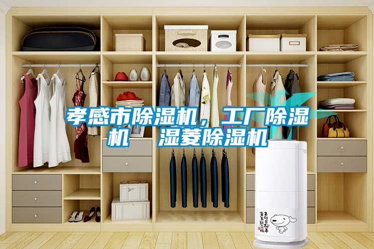 孝感市除濕機，工廠除濕機  濕菱除濕機