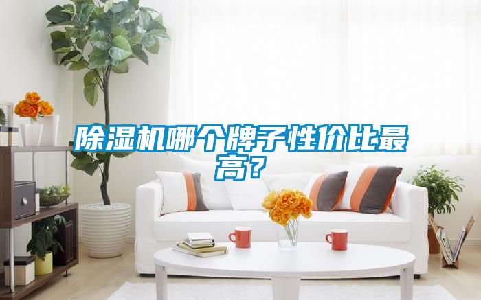 除濕機(jī)哪個(gè)牌子性價(jià)比最高？