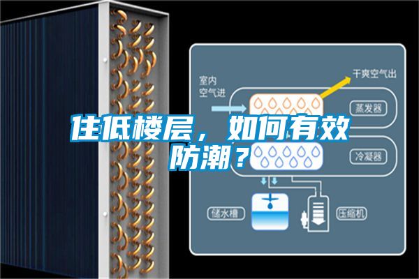 住低樓層，如何有效防潮？