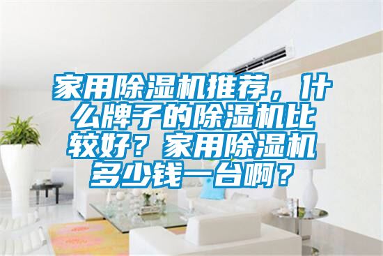 家用除濕機推薦，什么牌子的除濕機比較好？家用除濕機多少錢一臺?。?/></p>
						    <p style=