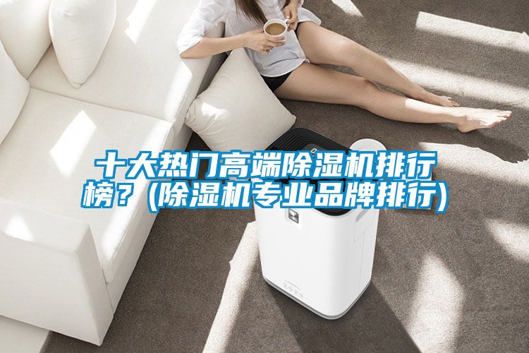 十大熱門高端除濕機(jī)排行榜？(除濕機(jī)專業(yè)品牌排行)