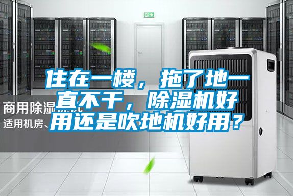 住在一樓，拖了地一直不干，除濕機好用還是吹地機好用？
