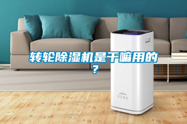 轉(zhuǎn)輪除濕機是干嘛用的？