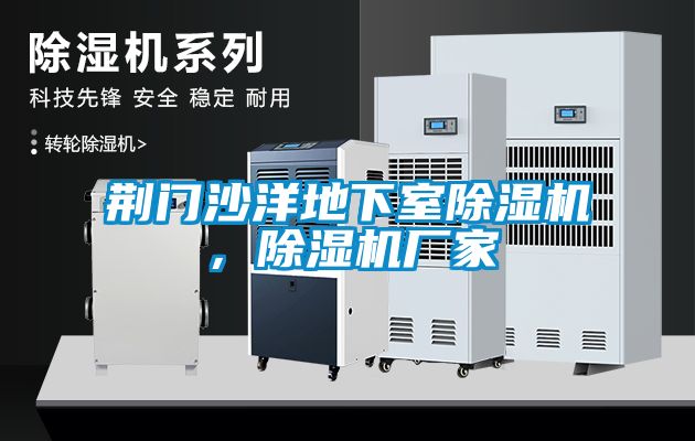 荊門沙洋地下室除濕機(jī)，除濕機(jī)廠家