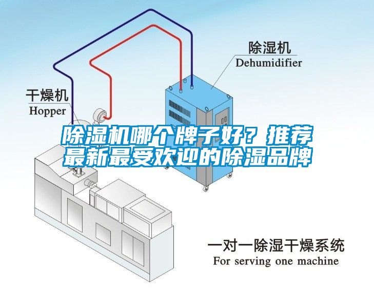 除濕機哪個牌子好？推薦最新最受歡迎的除濕品牌