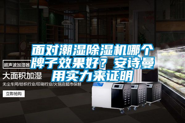 面對(duì)潮濕除濕機(jī)哪個(gè)牌子效果好？安詩曼用實(shí)力來證明