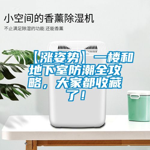 【漲姿勢】一樓和地下室防潮全攻略，大家都收藏了！