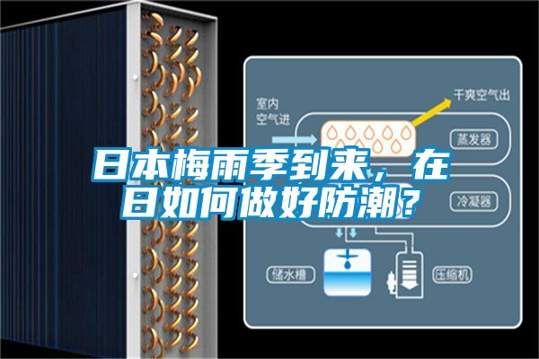 日本梅雨季到來，在日如何做好防潮？