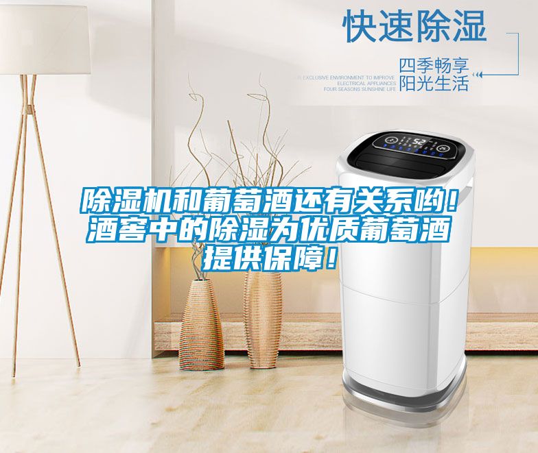 除濕機(jī)和葡萄酒還有關(guān)系喲！酒窖中的除濕為優(yōu)質(zhì)葡萄酒提供保障！