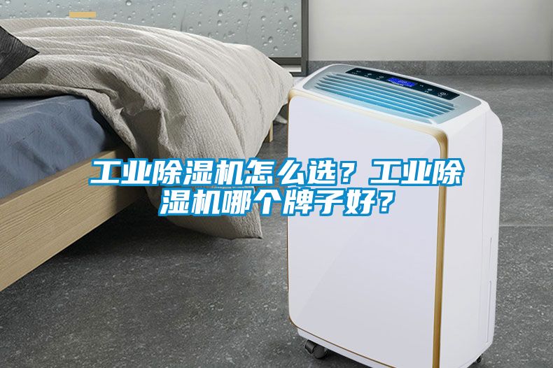 工業(yè)除濕機(jī)怎么選？工業(yè)除濕機(jī)哪個牌子好？