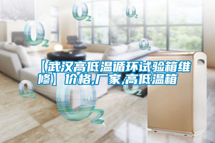 【武漢高低溫循環(huán)試驗(yàn)箱維修】價(jià)格,廠家,高低溫箱