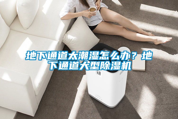 地下通道太潮濕怎么辦？地下通道大型除濕機(jī)