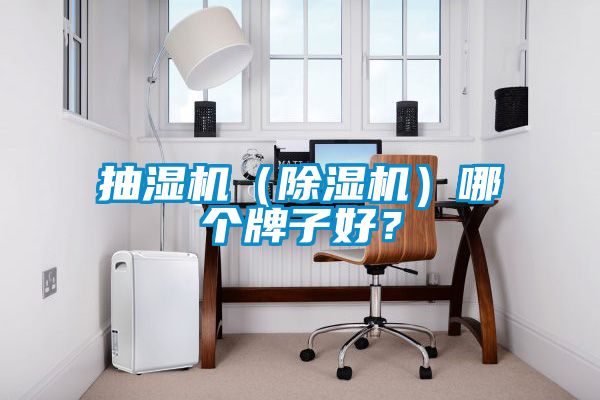 抽濕機(jī)（除濕機(jī)）哪個(gè)牌子好？