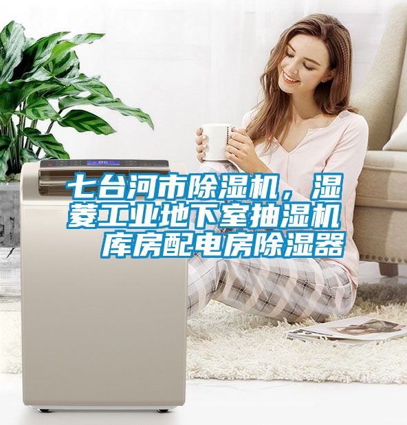 七臺(tái)河市除濕機(jī)，濕菱工業(yè)地下室抽濕機(jī)  庫房配電房除濕器