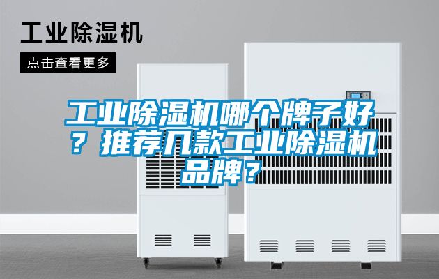 工業(yè)除濕機(jī)哪個牌子好？推薦幾款工業(yè)除濕機(jī)品牌？
