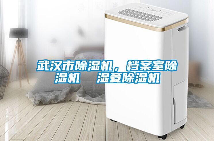 武漢市除濕機(jī)，檔案室除濕機(jī)  濕菱除濕機(jī)