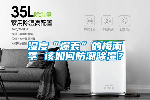 濕度“爆表”的梅雨季 該如何防潮除濕？