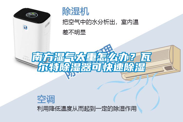 南方濕氣太重怎么辦？瓦爾特除濕器可快速除濕