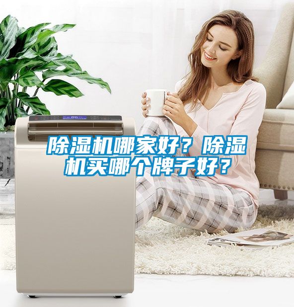 除濕機(jī)哪家好？除濕機(jī)買哪個牌子好？