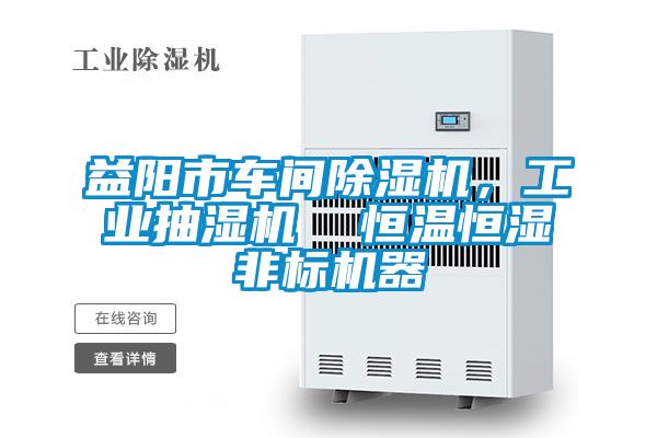 益陽市車間除濕機(jī)，工業(yè)抽濕機(jī)  恒溫恒濕非標(biāo)機(jī)器