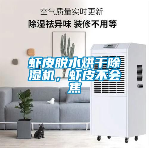 蝦皮脫水烘干除濕機(jī)，蝦皮不會焦