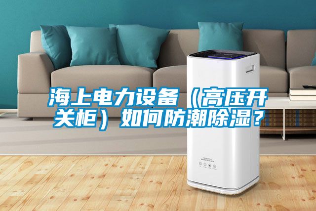 海上電力設(shè)備（高壓開關(guān)柜）如何防潮除濕？