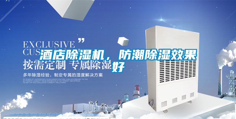 酒店除濕機(jī)，防潮除濕效果好