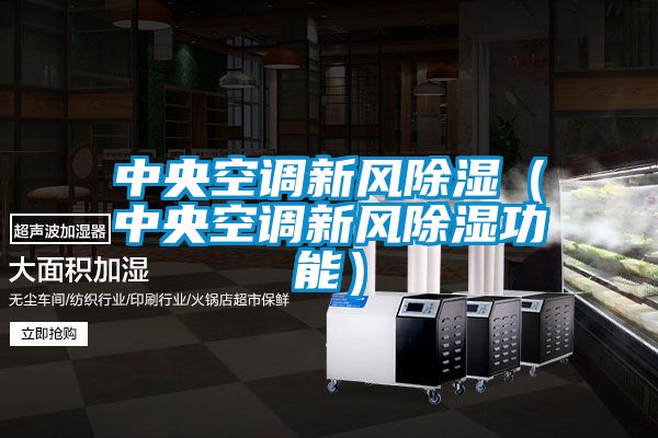 中央空調(diào)新風除濕（中央空調(diào)新風除濕功能）