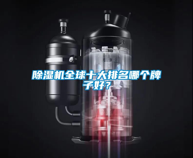 除濕機(jī)全球十大排名哪個(gè)牌子好？