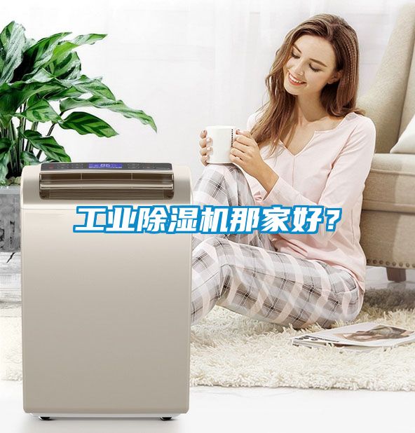 工業(yè)除濕機(jī)那家好？