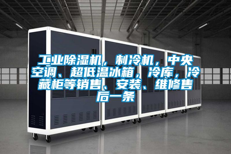 工業(yè)除濕機(jī)，制冷機(jī)，中央空調(diào)、超低溫冰箱，冷庫(kù)，冷藏柜等銷售、安裝、維修售后一條