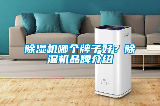 除濕機(jī)哪個牌子好？除濕機(jī)品牌介紹