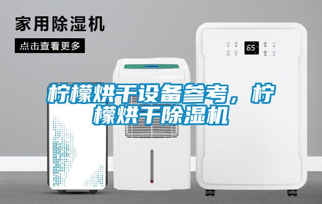 檸檬烘干設(shè)備參考，檸檬烘干除濕機(jī)